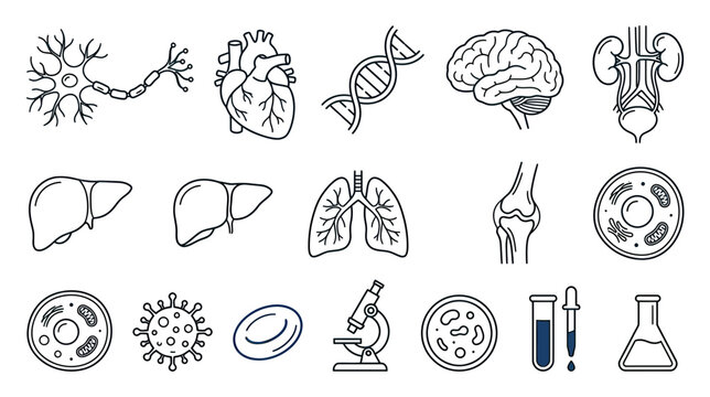 Medical Science Icons: Anatomy, Cells, DNA, Brain, Heart, Kidneys, Lungs, Liver