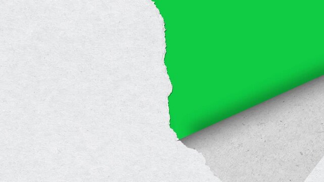 Vertically torn white paper Transition animation, rip paper effect, paper tear transition isolated on green screen background