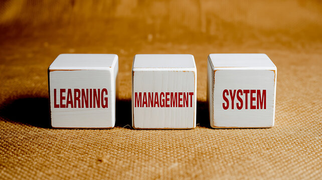 Three white wooden cubes with red text spelling out Learning Management System education