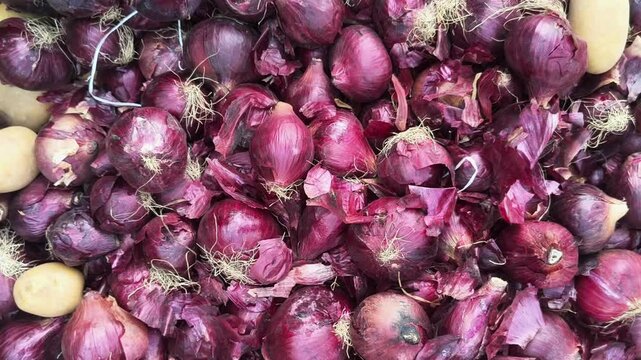 Moving Shot of Organic Onion Heap in a Vegetable Market for Selling