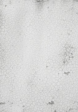 White Cracked Wall Texture Background - Weathered Concrete Surface with Fine Craquelure Pattern