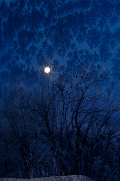 Tonight, let us trace the memories of the freezing moon.
今夜は凍てつく月の記憶をたどろう。