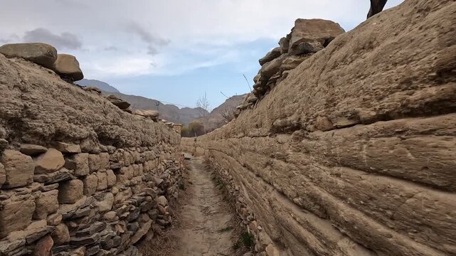 Narrow mud-walled path between compound walls, cherry blossom overhang, Chele Nepal