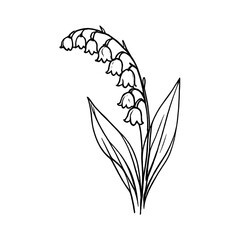 Obraz premium PNG Minimalist lily of the valley illustration.