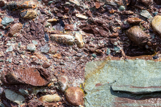 Gaspesie, Quebec, 07 June 2026 : Close-up view of wet, colorful pebbles and rocks embedded in a reddish-brown sediment.