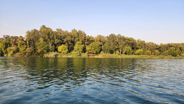 Scenic view of the Seyhan River flowing through central Adana, Turkey, framed by dense eucalyptus trees and common reeds in the lush Eski Baraj greenbelt.