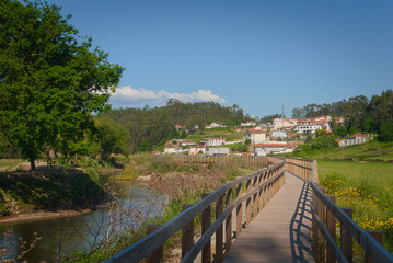 Fototapeta premium Beautiful Walk Boards Over Green Landscape