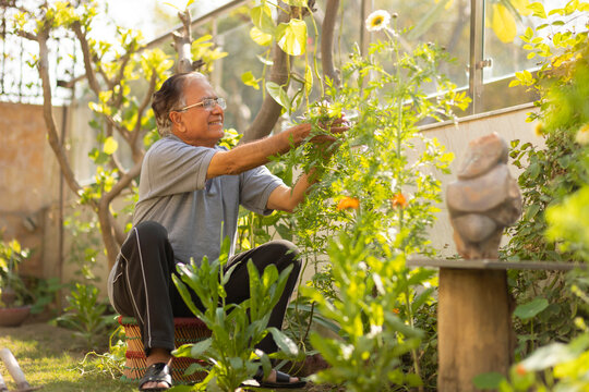 Portrait of senior man gardening at home