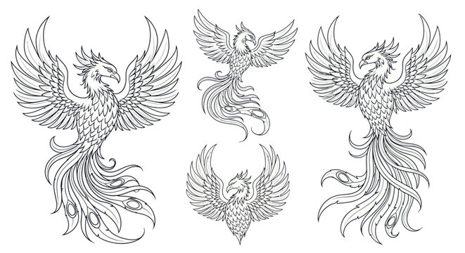 Mythical Phoenix Line Art Vector Illustration Set