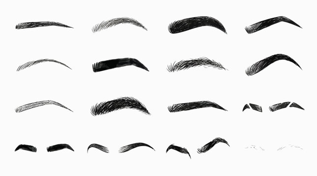 Eyebrow shape illustration icon vector collection featuring natural, thick, thin, curved, arched, and straight brow styles for beauty, makeup, and cosmetic design references.