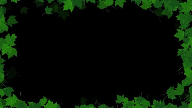 green maple leaves flying border frame alpha channel 4k animation, realistic leaf on transparent background,nature and environment motion design element