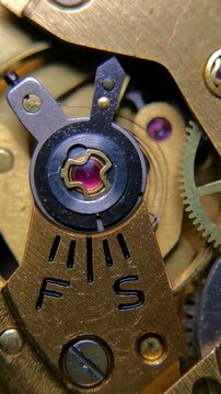 Vertical close up of a vintage mechanical watch movement showing the balance cock, fast and slow adjustment scale, ruby jewel bearing, and oscillating hairspring.