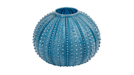 Modern blue ceramic vase with textured surface isolated on transparent background for interior © belova-png