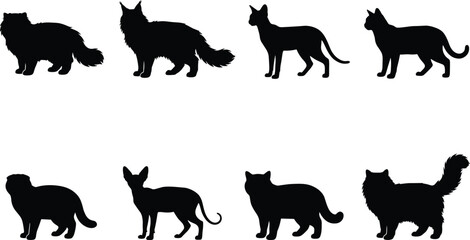 Cat breed silhouette icon set featuring diverse feline body types and coat profiles © Rubina