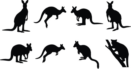 Fototapeta premium Kangaroo and Marsupial Silhouette Icons in Varied Poses