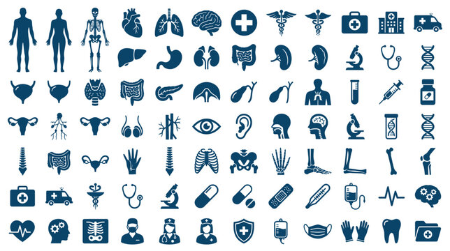 Medical Icons Set: Human Anatomy, Organs, Healthcare Symbols, Science and Medicine