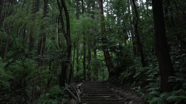 kyoto travel 4k movie