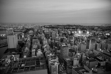 薄暗い空の下、光が瞬く高層ビル群が広がる大都市のパノラマ夜景。奥には広大な港湾施設と海が広がり、右手には照明が灯るスタジアムが見える都会の景観。 © BRUCE