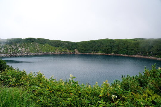 富山県立山室堂平にあるみくりが池の風景。霧が立ち込める曇天の下、深い青色の水を湛えた火山湖と周囲を囲むハイマツの緑が美しい8月の夏の景色。