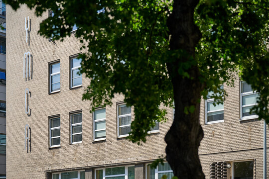 View of the brick YMCA building facade partially obscured and framed by a large tree trunk and green leaves, Gdynia, Pomerania, Poland, Europe