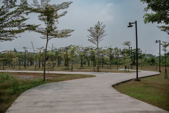 Winding concrete path in a scenic park with street lamps and trees.
