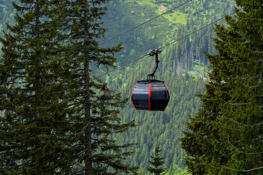 Cable car gondola with red trim traveling between pine trees above green forested mountain valley, alpine transport and resort infrastructure concept.