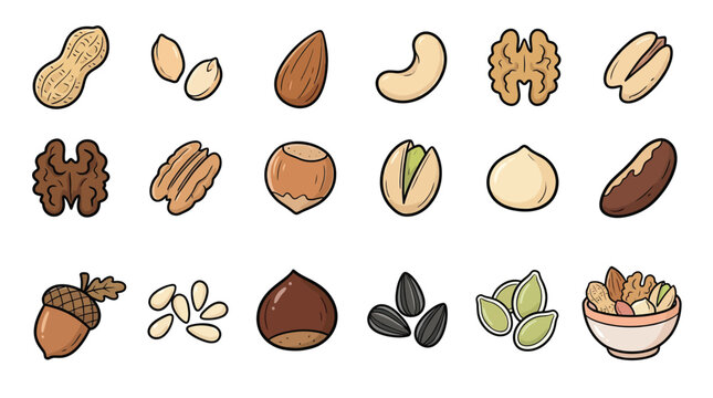 A vibrant collection of various nuts and seeds, showcasing their diverse shapes and textures in a clear, illustrative style.