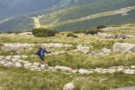 hiker with trekking poles climbing stone path across grassy alpine hillside with forested valley below, outdoor trekking adventure concept.