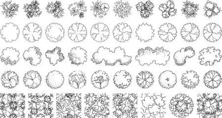 Large Set of Hand Drawn Trees and Bushes Top View Symbols for Landscape Architecture Plan © MDMizanur