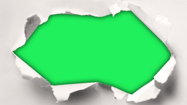 Animation white frame on green screen.