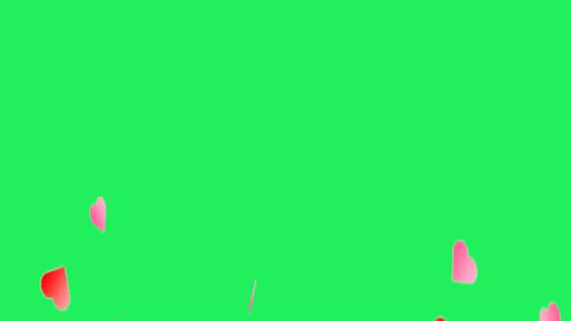 Animation red heart falling on green background.