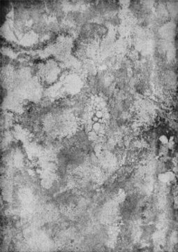 Large vector halftone vintage paper texture with a transparent background