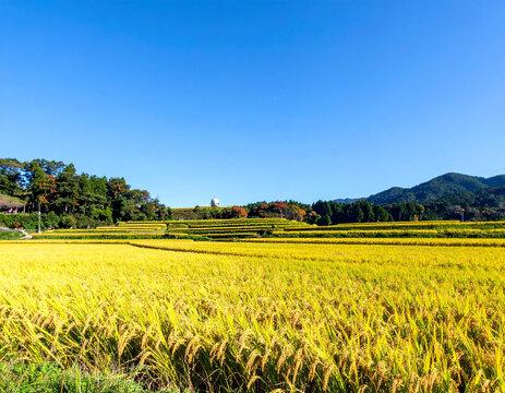 日本の原風景 Images – Browse 2,521 Stock Photos, Vectors, and