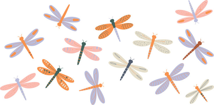 Cute dragonfly vector set, colorful cartoon insects with patterned wings isolated on plain white background
