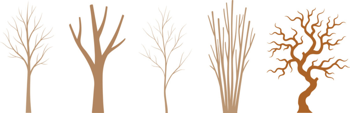 Set of various bare leafless tree branch silhouettes vector illustration isolated on white background
