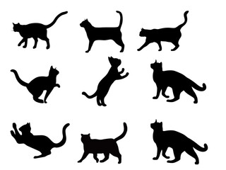 black silhouettes of cats © Saad