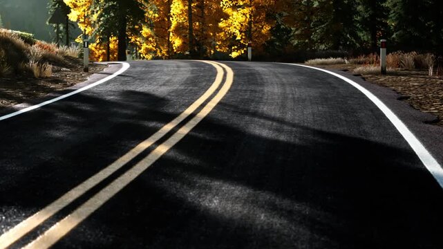 A long road curves through a forest with bright yellow trees on both sides. Shadows and sunlight create patterns on the asphalt. It is a sunny day and the scenery shows seasonal change.