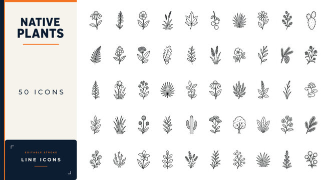Native plants line icon set featuring wild flowers, forest trees, desert cacti, garden herbs, and botanical leaves