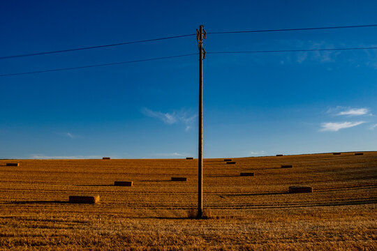 Strommasten im Feld