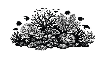 Coral reef scene with fish and sea stars black and white vector illustration © SUMU