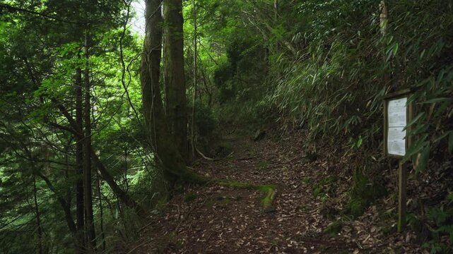 Fudo-zaka Slope on Kyo-Osaka-michi, UNESCO World Heritage Koyasan Pilgrimage Route, Wakayama, Japan　世界遺産・高野参詣道 京大坂道「不動坂」和歌山県高野町