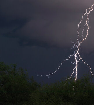 Large lightning strike behind wind blown mesquite trees in Arizona