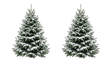Fototapeta premium Two snowy pine trees for winter holiday decoration isolated on transparent background