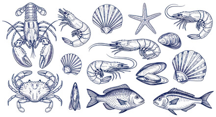 Collection of Seafood Illustrations Including Lobster Crab Shrimp Fish and Shellfish. © DOG2