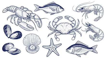 Collection of Seafood Illustrations Including Fish Shrimp Lobster Crab and Shellfish. © DOG2