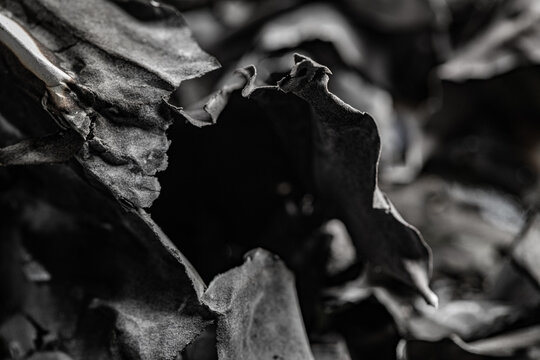 Abstract black and white macro shot of burnt charred paper and ash texture
