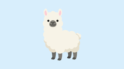 Fototapeta premium A white llama standing alone outdoors.