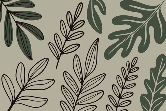 Elegant botanical illustration featuring various types of leaves in deep green and black outlines over a neutral sage green background for nature.
