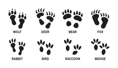 Set of wild animal footprints including wolf deer bear fox rabbit bird raccoon and moose. © Ripon