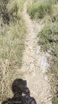 Sentiero stretto e roccioso immerso in erba secca e arbusti, illuminato dal sole con l&rsquo;ombra del fotografo proiettata sul terreno